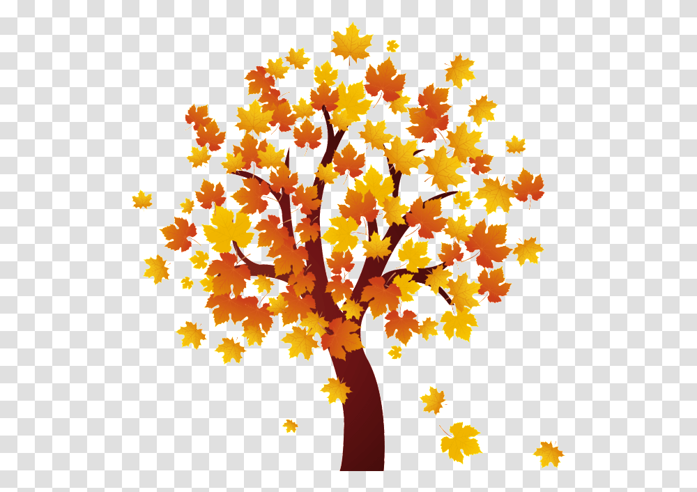 Autumn Leaves, Plant, Maple, Tree, Leaf Transparent Png