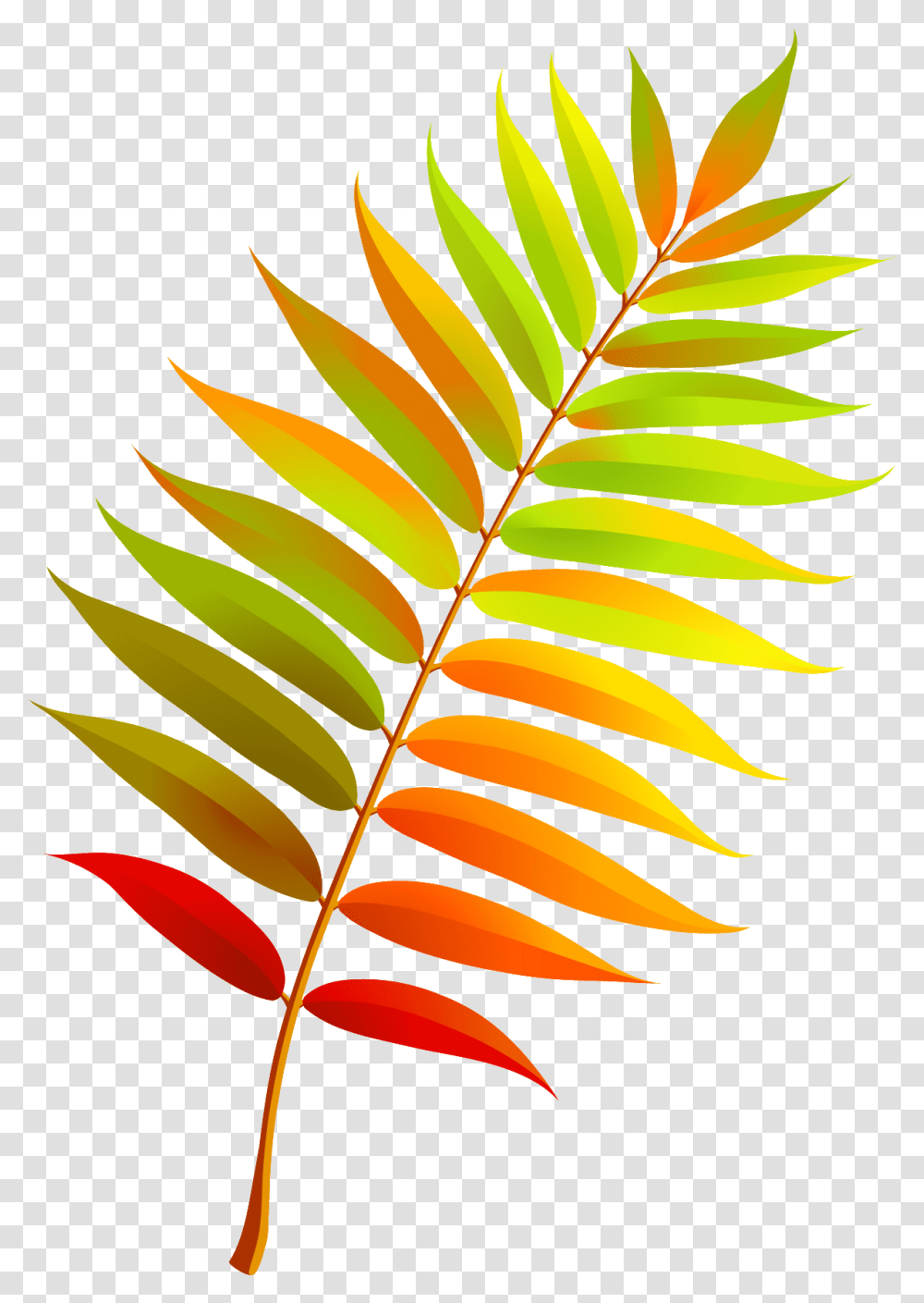 Autumn Leaves Rubrics Stencils Clip Art Flower Bonitas Hojas De Imagenes, Leaf, Plant, Green, Fern Transparent Png
