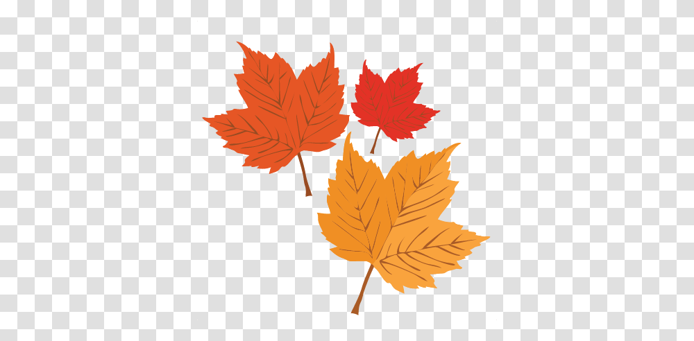 Autumn Leaves Scrapbook Cute Clipart, Leaf, Plant, Tree, Maple Transparent Png
