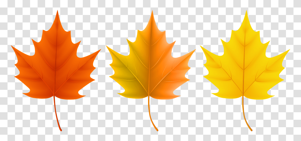 Autumn Leaves Set Clip Art, Leaf, Plant, Maple Leaf, Tree Transparent Png