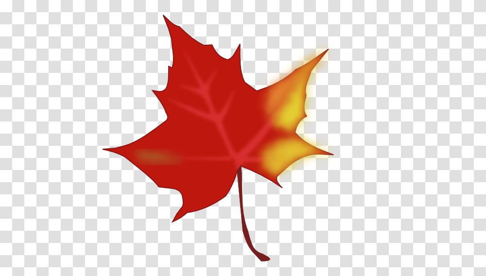 Autumn Leaves Shapes, Leaf, Plant, Tree, Maple Leaf Transparent Png