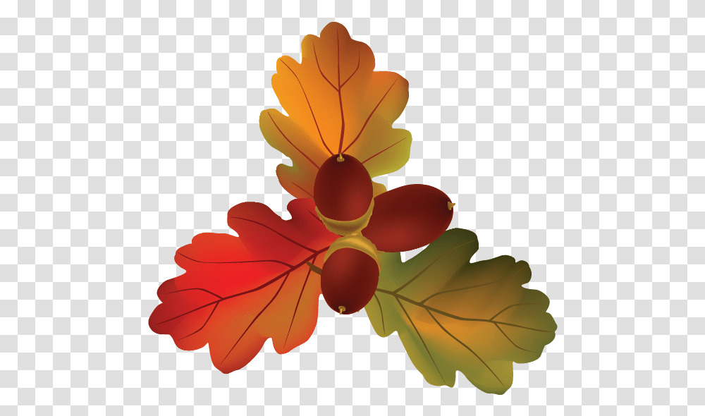 Autumn Leaves With Fruits Vector, Leaf, Plant, Grain, Produce Transparent Png