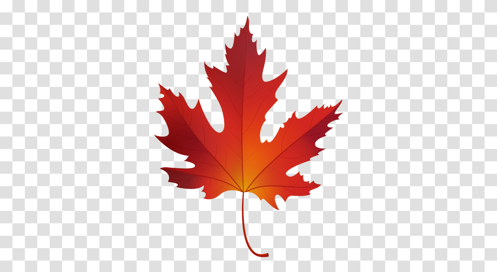 Autumn Maple Leaf Clip Art Color Of Sugar Maple Leaf, Plant, Tree, Person, Human Transparent Png