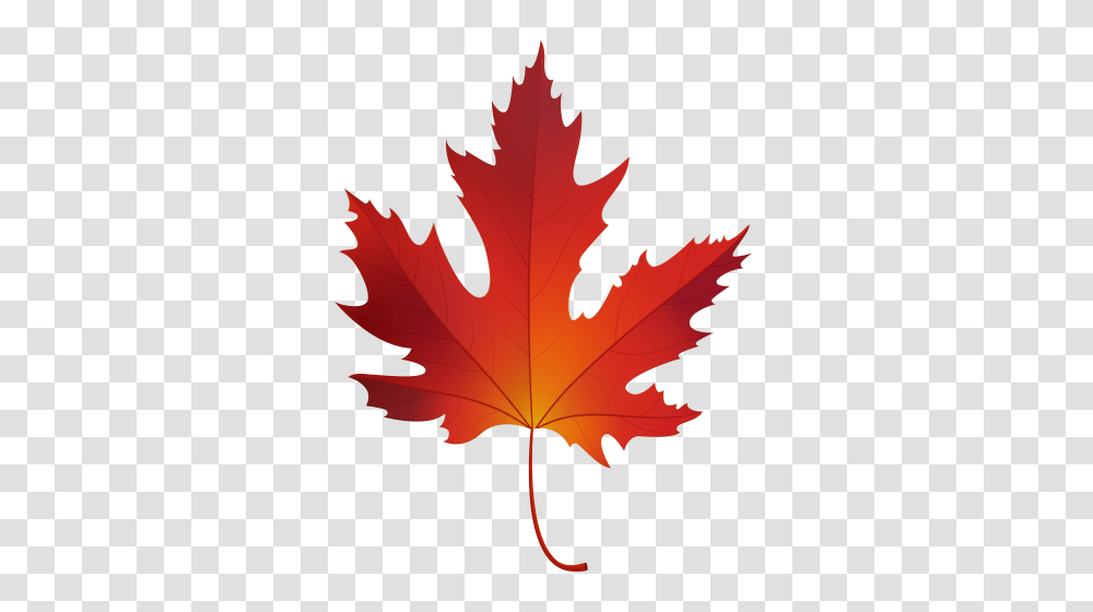 Autumn Maple Leaf Clip Art, Plant, Tree, Person, Human Transparent Png