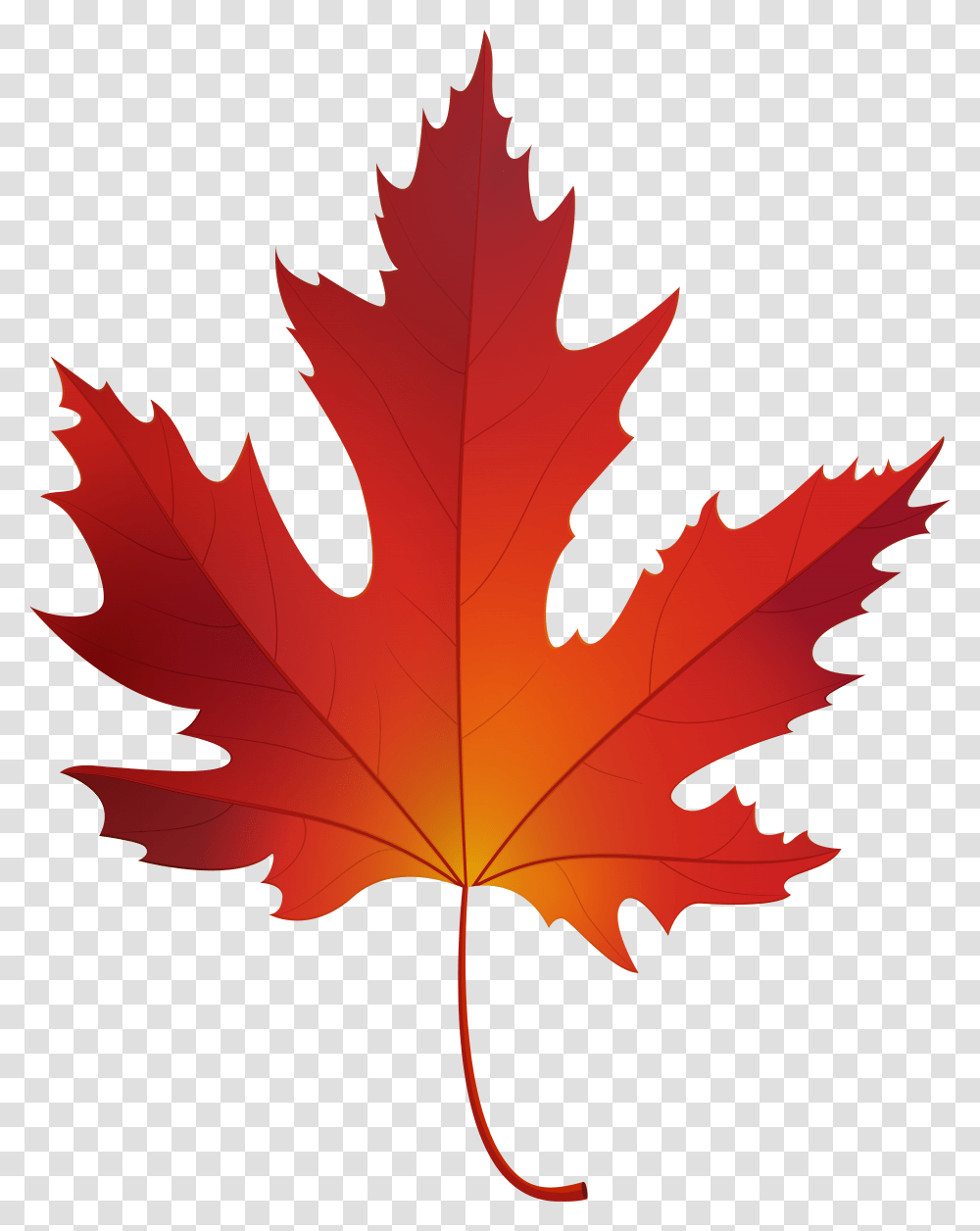 Autumn Maple Leaf Clip Art, Plant, Tree, Person, Human Transparent Png