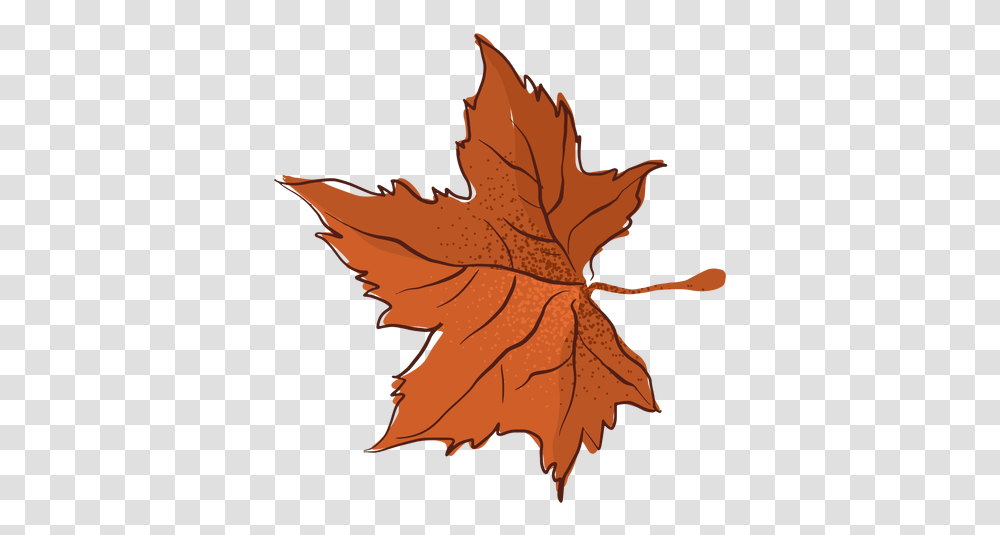 Autumn Maple Leaf Type Hand Drawn & Svg Lovely, Plant, Tree,  Transparent Png