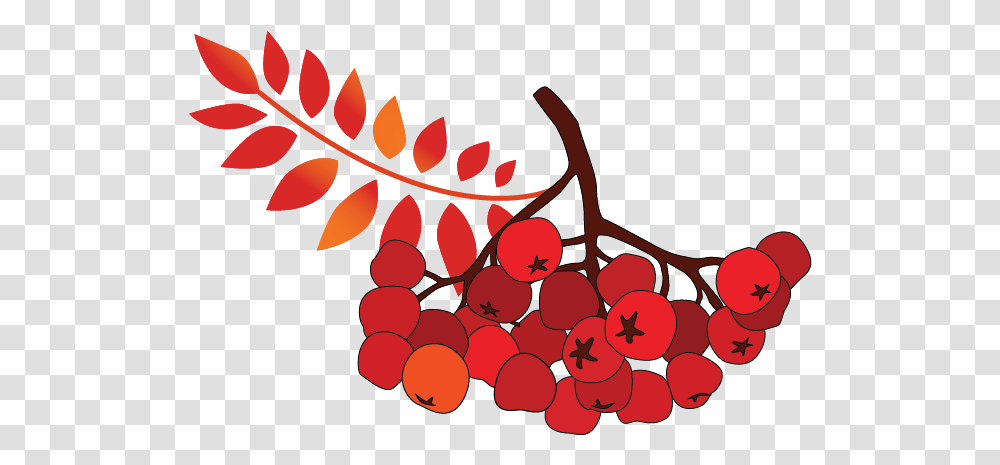 Autumn, Plant, Fruit, Food, Grapes Transparent Png