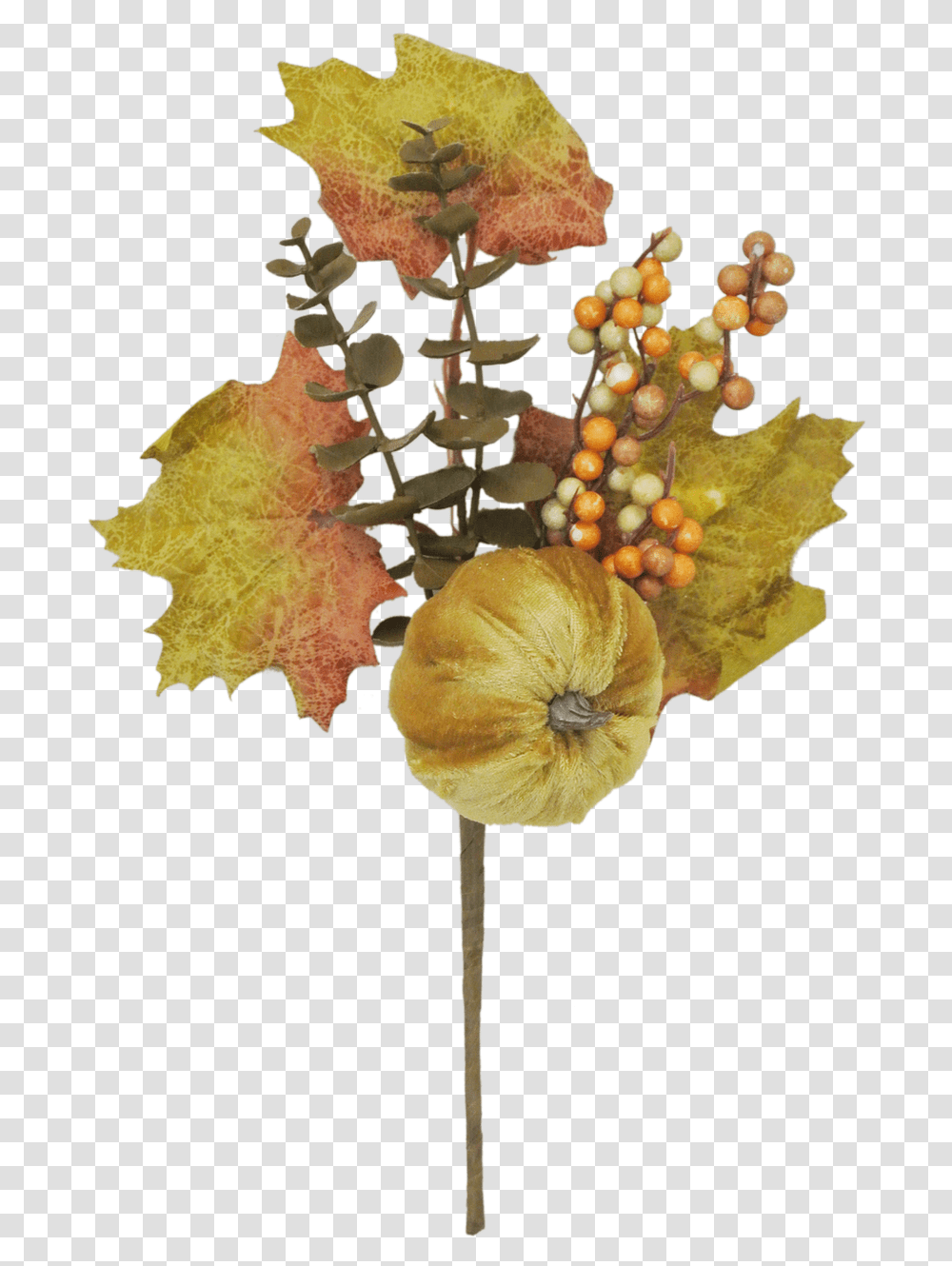 Autumn, Plant, Leaf, Food, Fruit Transparent Png