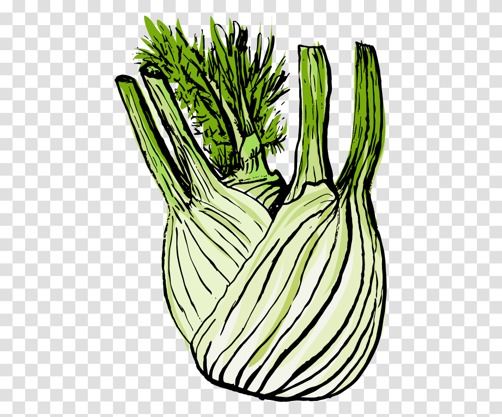 Autumn, Plant, Vegetable, Food, Produce Transparent Png