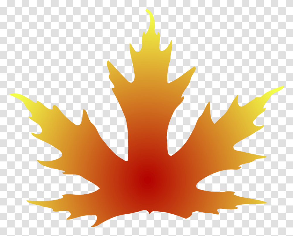 Autumn Pngs, Leaf, Plant, Tree, Maple Transparent Png