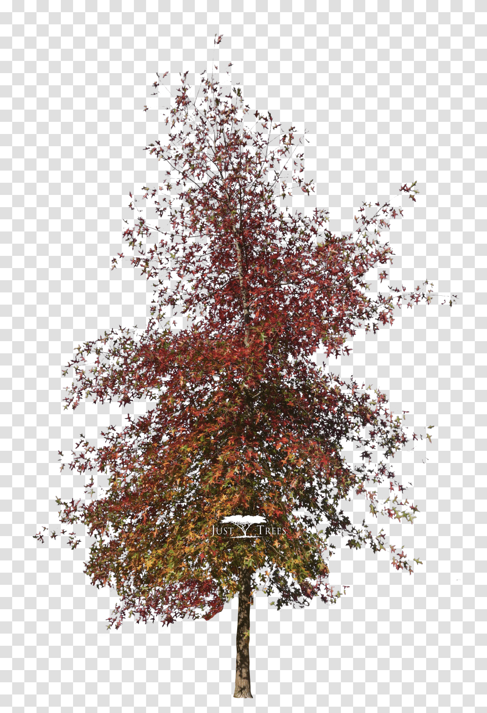 Autumn Pngs Transparent Png