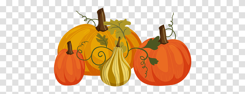 Autumn Pumpkins Pumpkins, Plant, Gourd, Produce, Vegetable Transparent Png