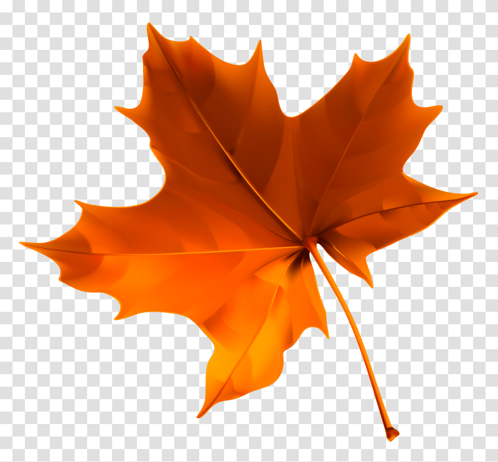 Autumn Red Leaf Clipart, Plant, Tree, Maple Leaf Transparent Png