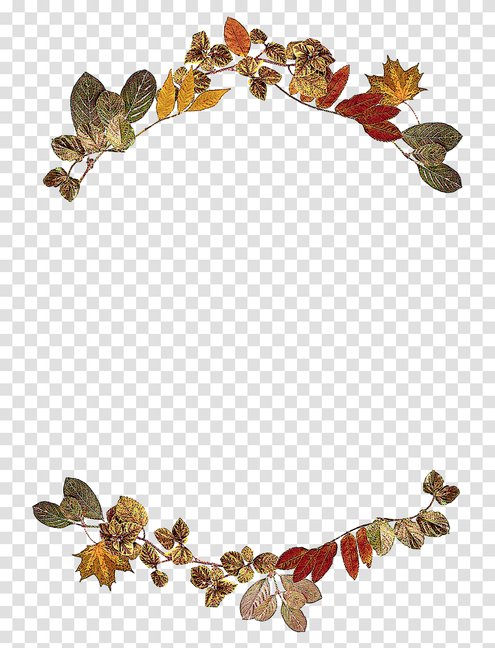 Autumn Scroll Cliparts 18 Buy Clip Art Leaf Border Design, Tree, Plant, Screen, Animal Transparent Png