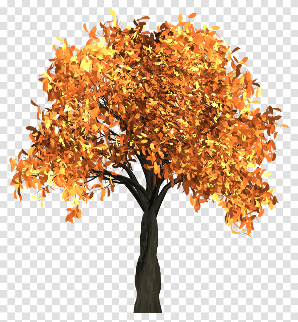 Autumn Tree Image Fall Tree With Background, Plant, Maple, Chandelier, Lamp Transparent Png