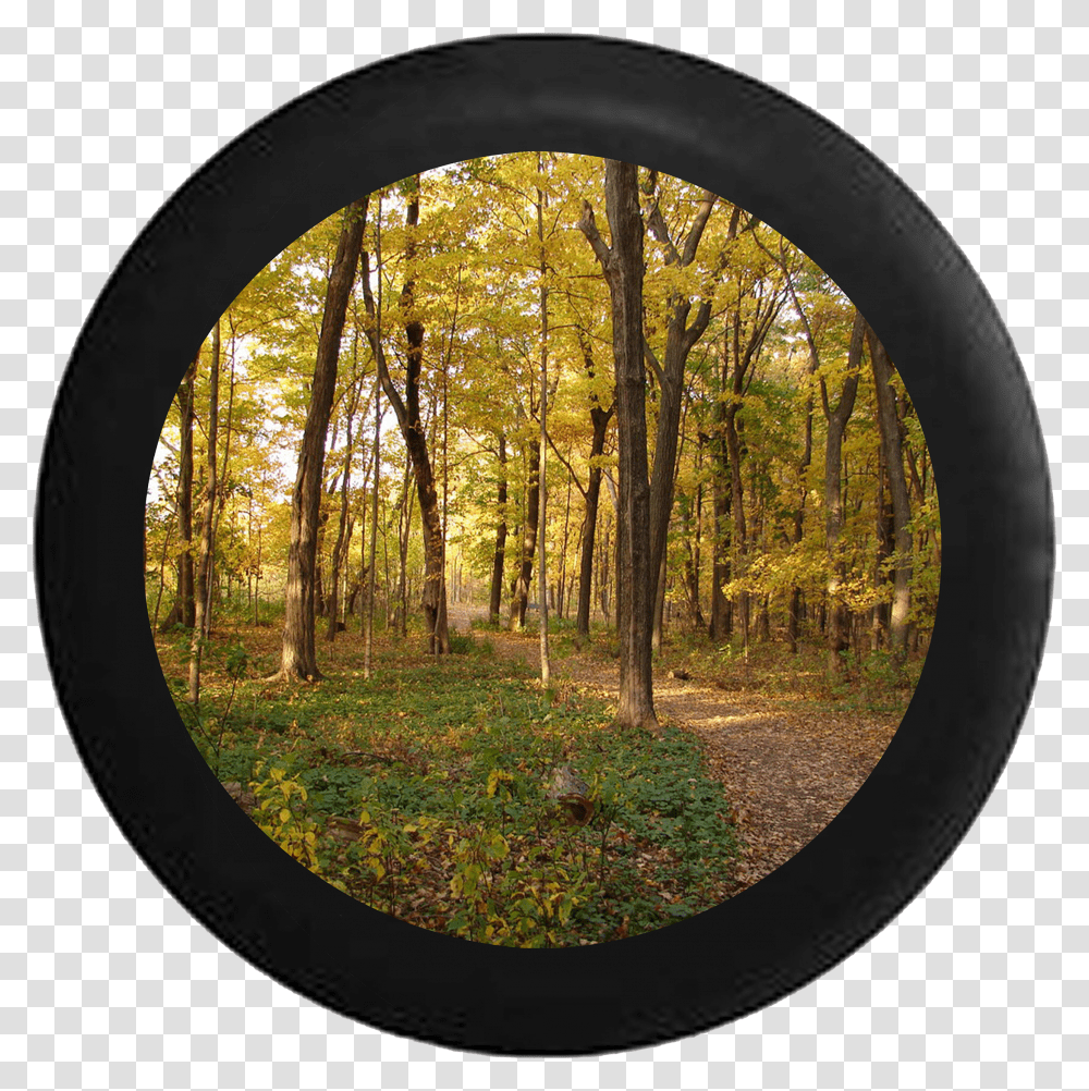 Autumn Trees Jeep Camper Spare Tire Cover 35 Inch Transparent Png