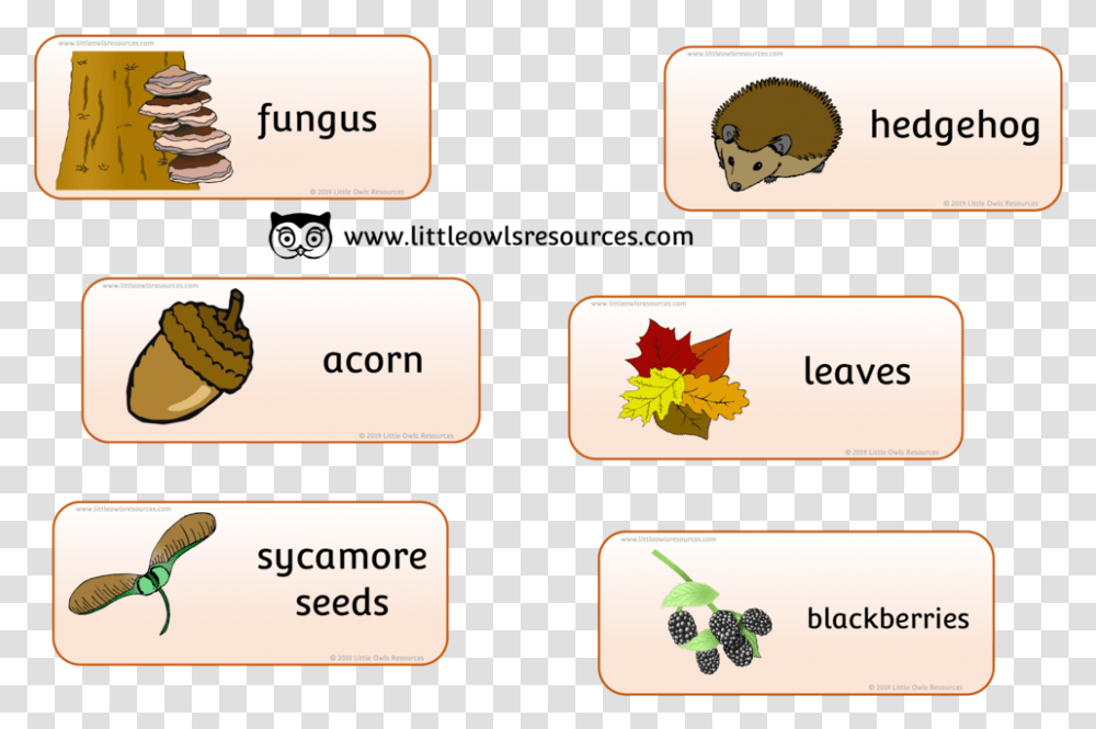 Autumn Word Cards Autumn Words, Leaf, Plant, Tree Transparent Png