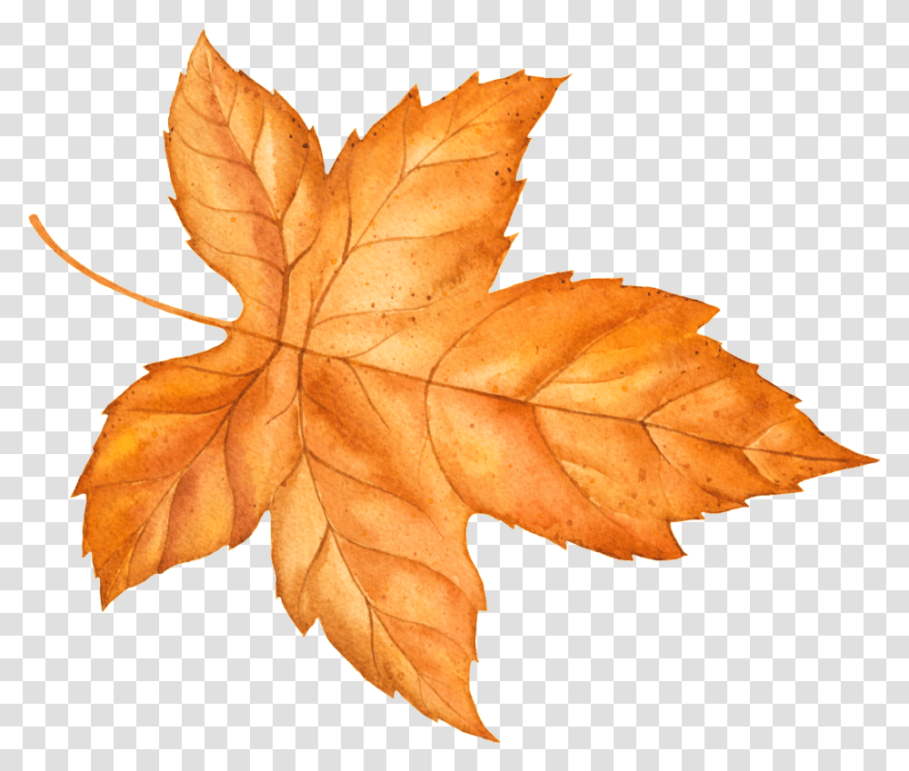 Autumn Yellow Leaves Vector Free Download Vector, Leaf, Plant, Tree, Maple Leaf Transparent Png