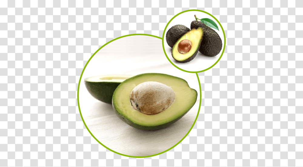 Avacado Soyabean Unsaponifiable Asu Can Cats Eat Avocado, Plant, Fruit, Food Transparent Png