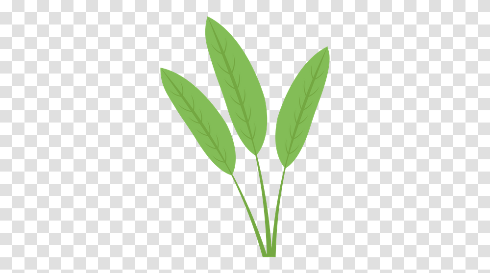 Available In Svg Eps Ai Icon Fonts Grass, Leaf, Plant, Veins, Pattern Transparent Png