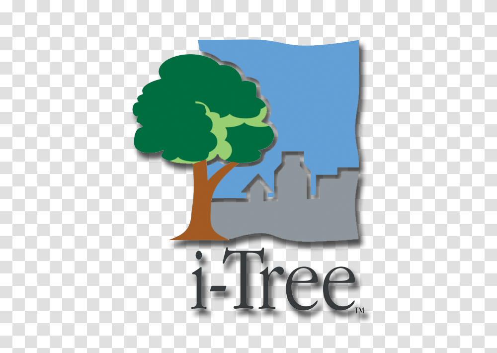 Available Trees, Pillow, Cushion, Label Transparent Png