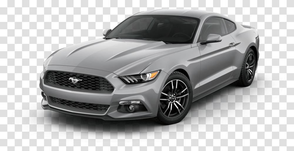 Avalanche Gray Ford Mustang Shelby, Sports Car, Vehicle, Transportation, Automobile Transparent Png