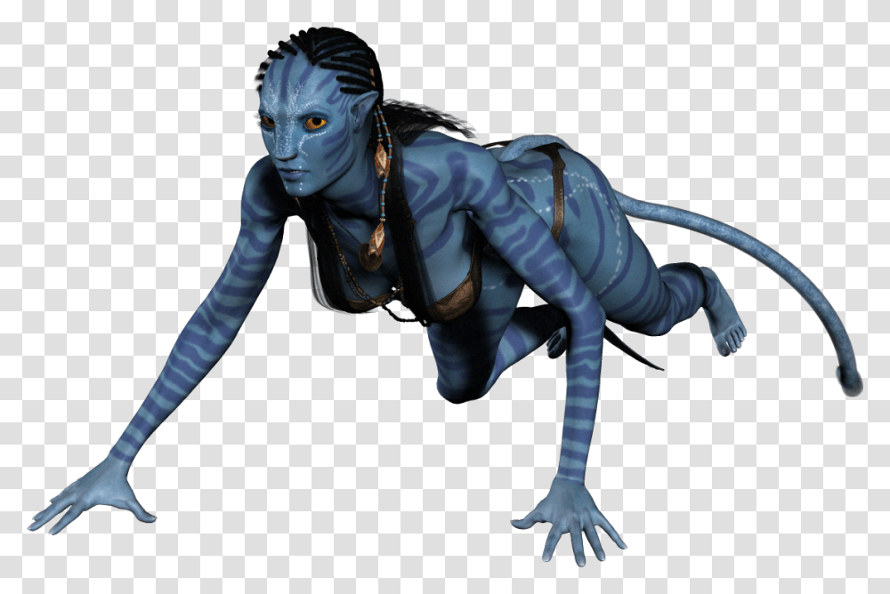 Avatar, Character, Person, Human, Animal Transparent Png