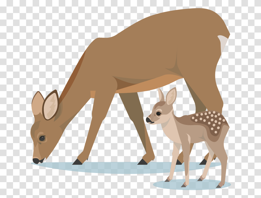 Avatar Deer Family Cartoon, Mammal, Animal, Kangaroo, Wallaby Transparent Png