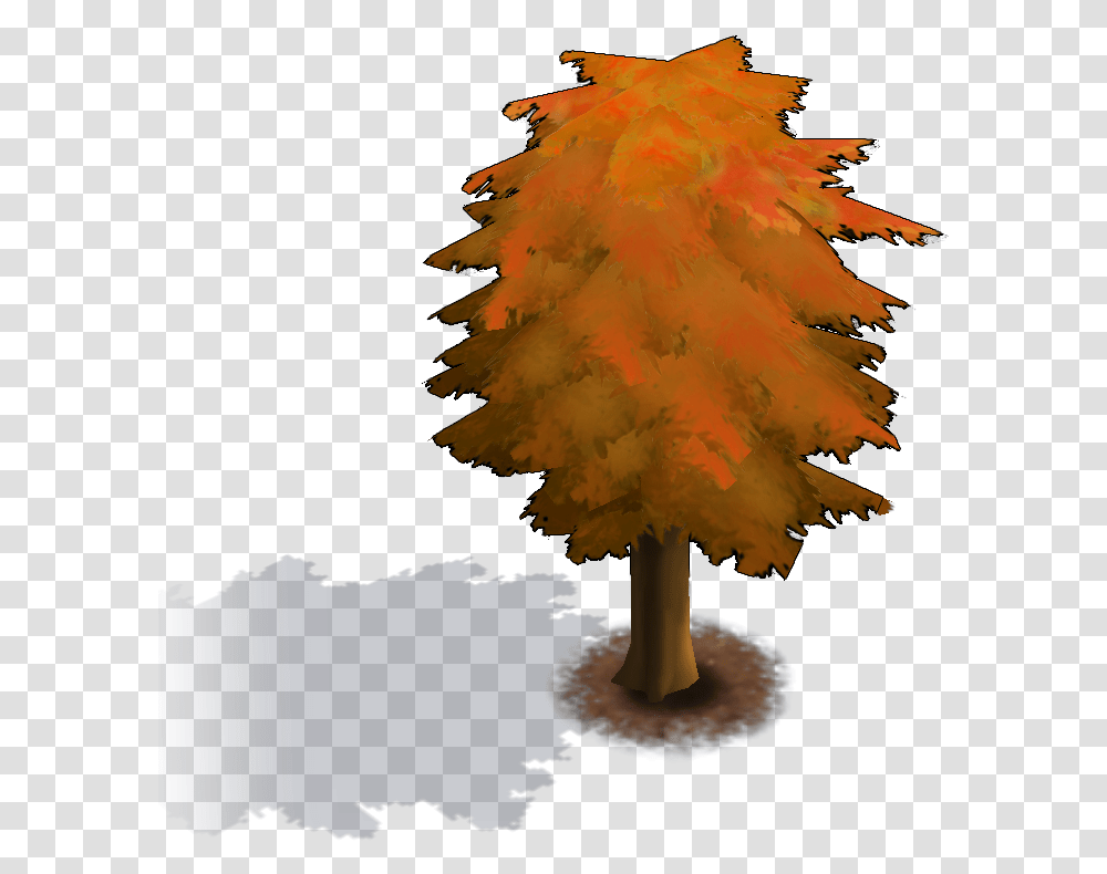 Avengers Academy Wikia White Pine, Tree, Plant, Ornament, Christmas Tree Transparent Png