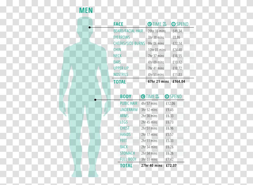 Average Body Hair On Men, Person, Human, Plot, Diagram Transparent Png