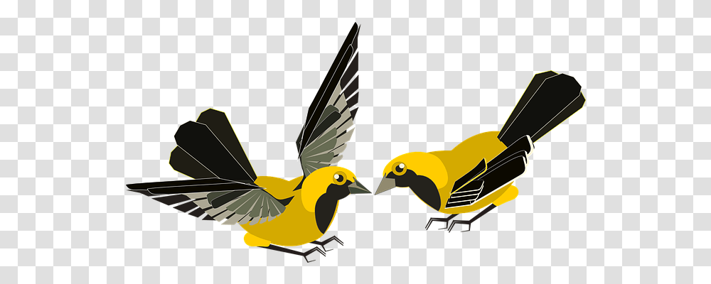 Aves Animals, Bird, Canary, Finch Transparent Png