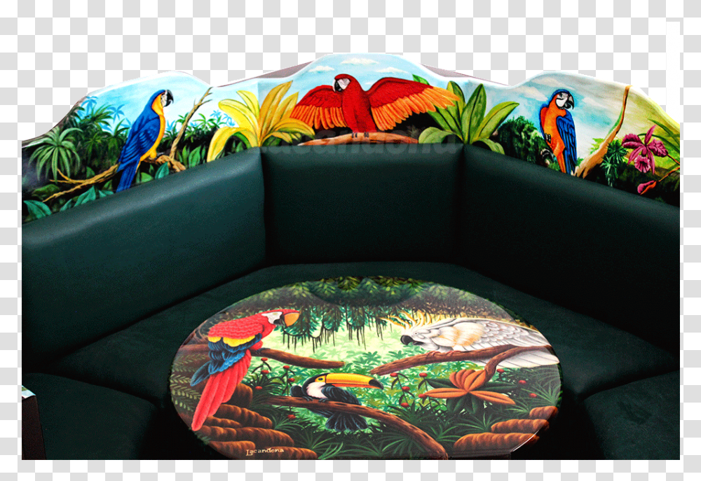 Aves, Couch, Furniture, Bird, Animal Transparent Png