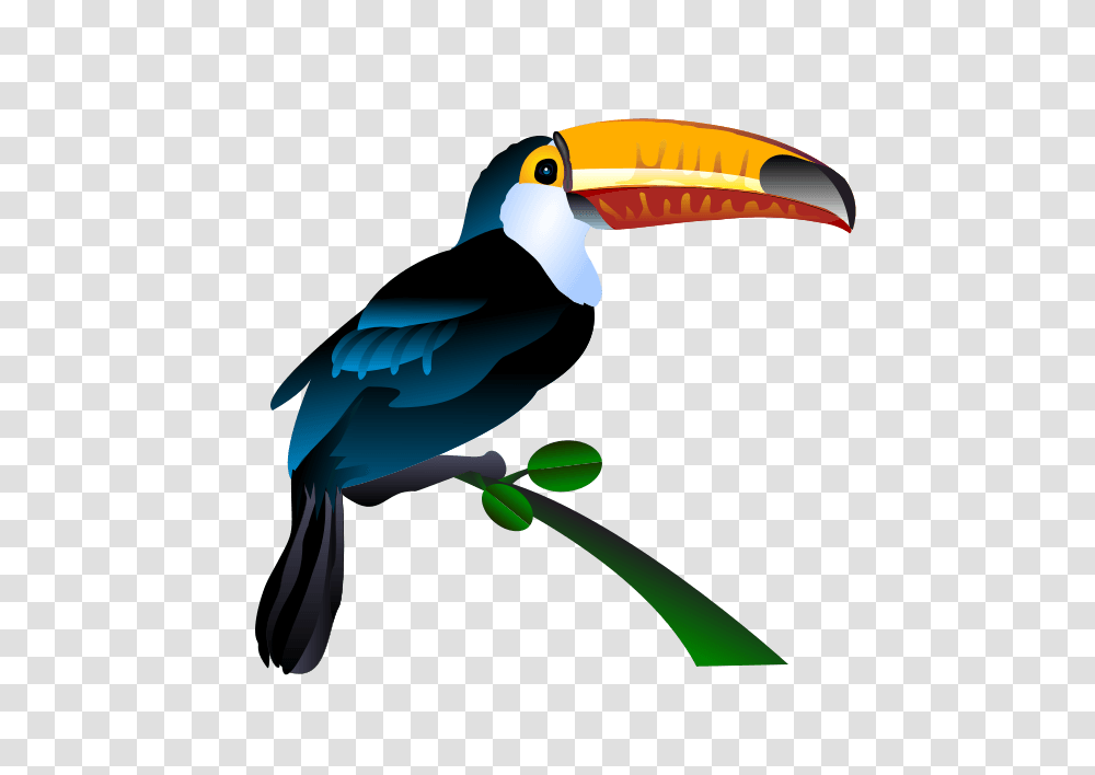 Aviary Birds Cliparts, Animal, Toucan, Beak Transparent Png