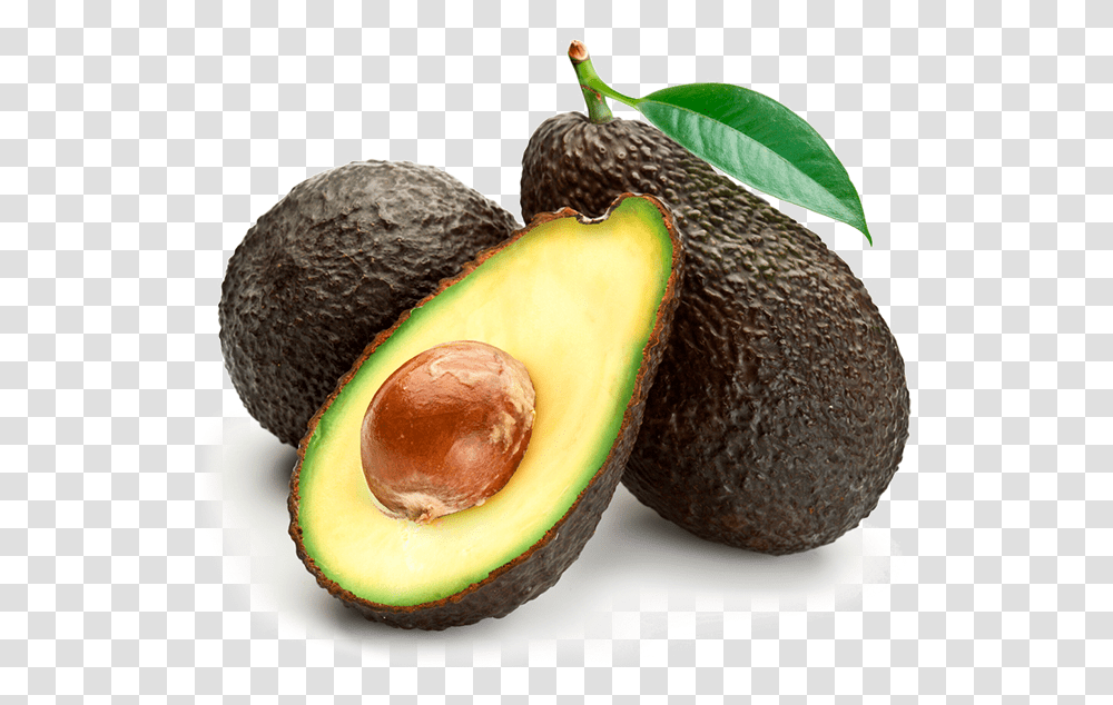 Avocado Avocado Picture With White Background, Plant, Fruit, Food, Banana Transparent Png