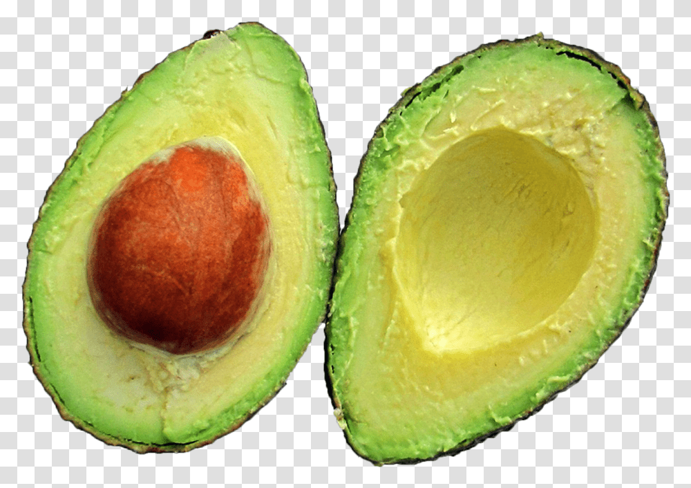Avocado Avocado, Plant, Fruit, Food Transparent Png