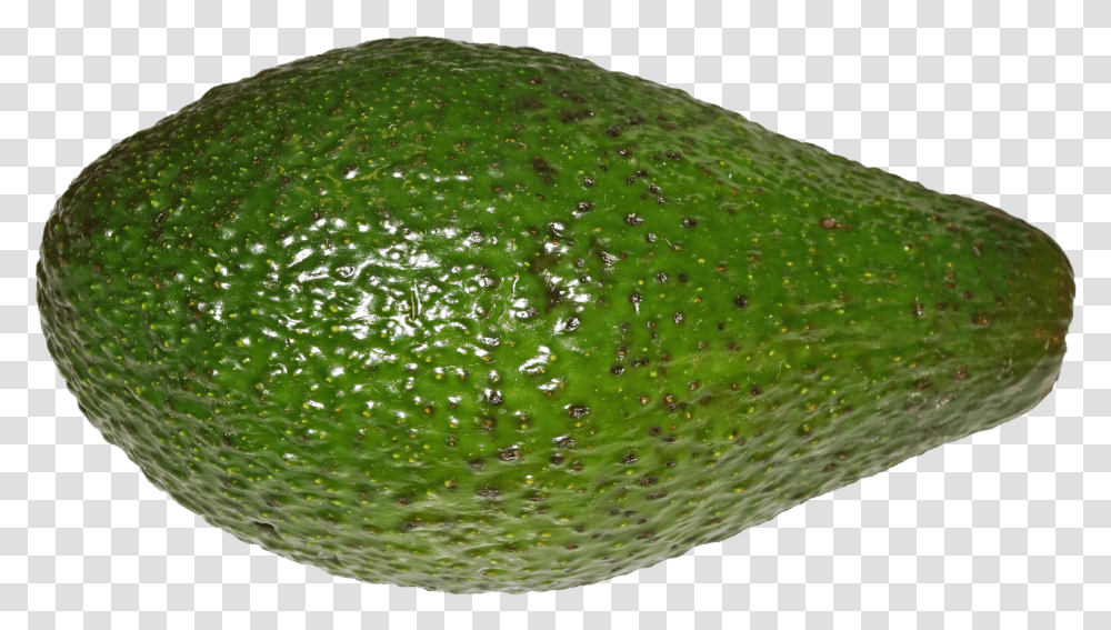 Avocado Avocado Transparent Png