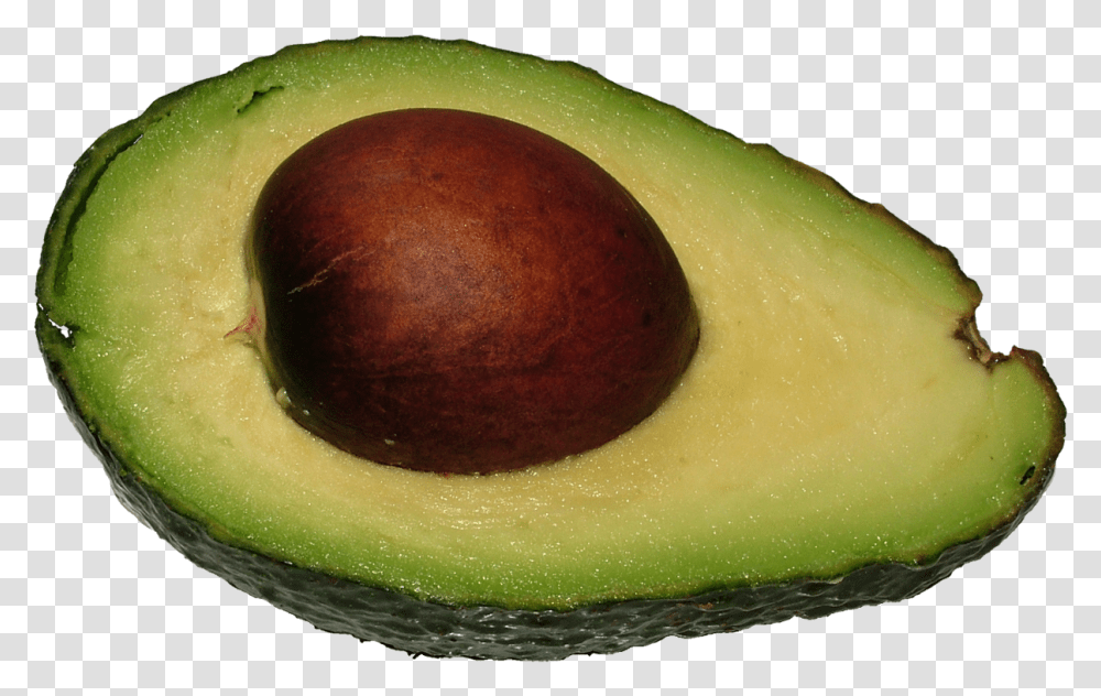 Avocado Avocado With No Background, Plant, Fruit, Food Transparent Png