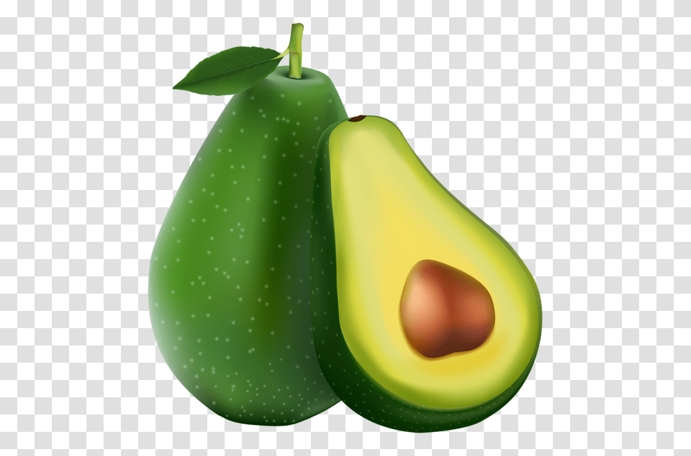 Avocado Clip Art Avocado Clipart, Plant, Fruit, Food, Pear Transparent Png