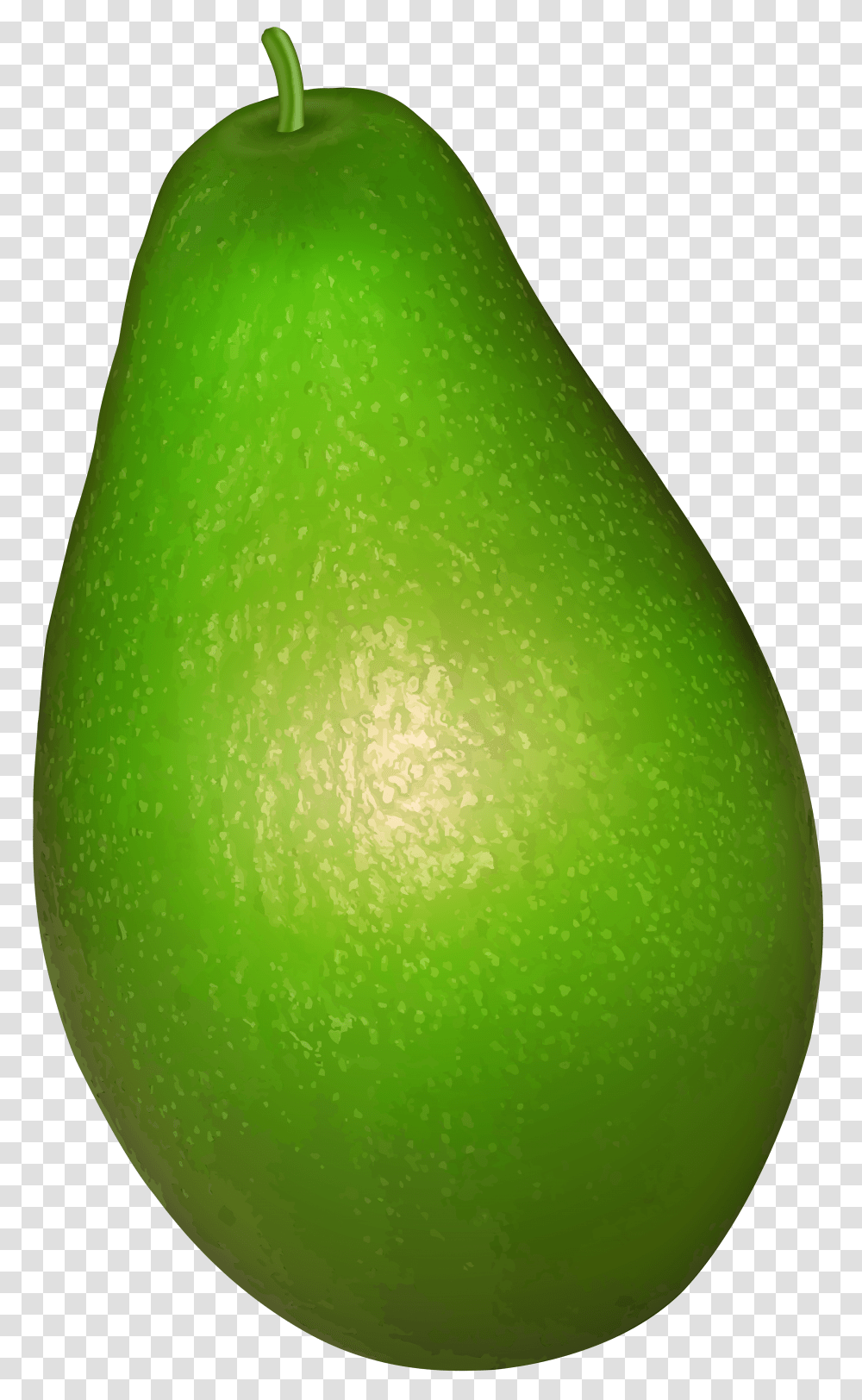 Avocado Clip Transparent Png