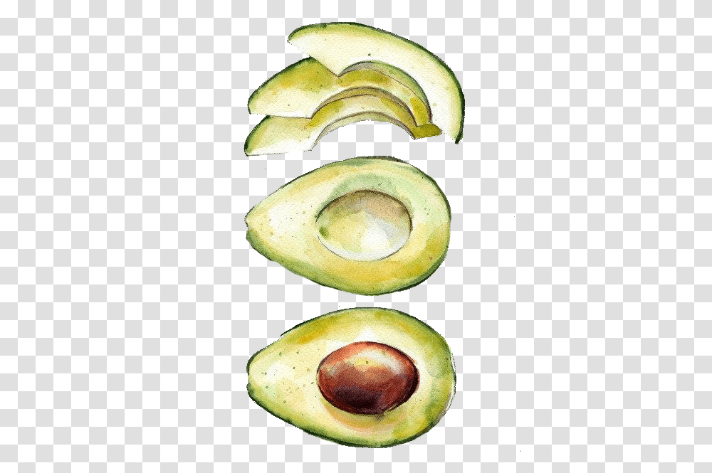 Avocado Clipart Draw Watercolor Avocado Avocado Watercolor, Plant, Fruit, Food, Banana Transparent Png