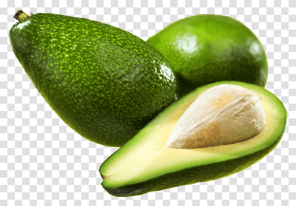Avocado Download Avocado, Plant, Fruit, Food, Tennis Ball Transparent Png