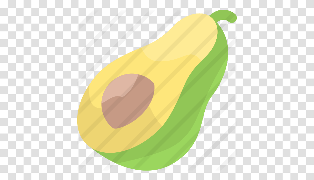 Avocado Free Food Icons Illustration, Plant, Vegetable, Tape, Fruit Transparent Png