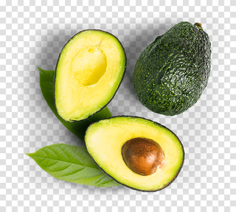 Avocado Fruit Avocado, Plant, Food Transparent Png