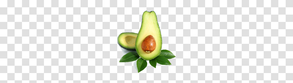 Avocado, Fruit, Plant, Food, Banana Transparent Png