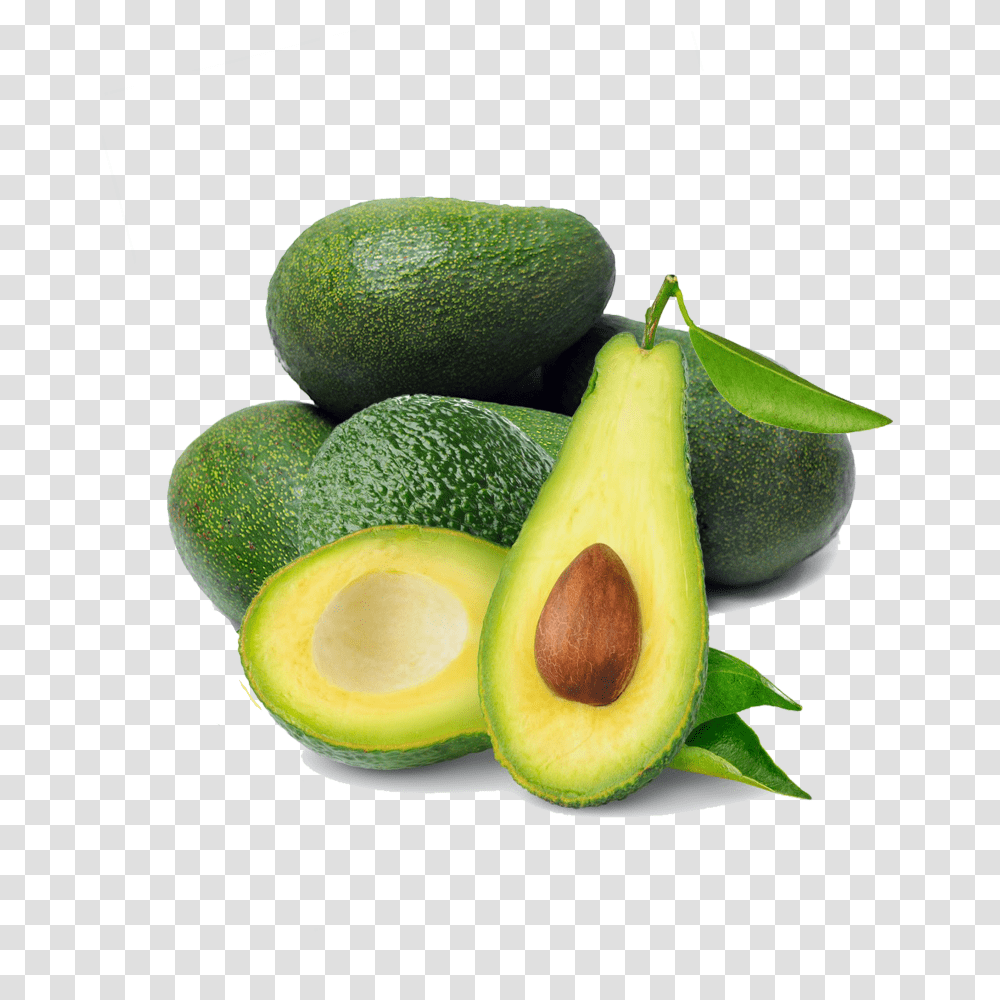 Avocado, Fruit, Plant, Food, Pear Transparent Png