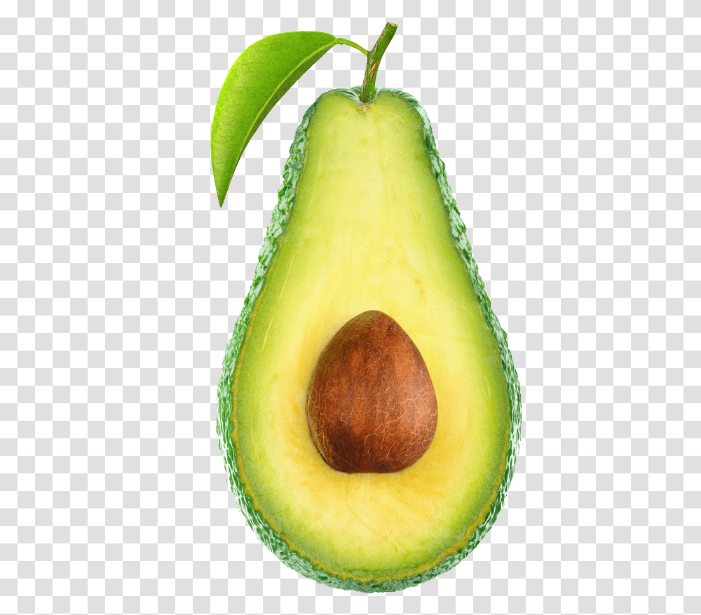 Avocado, Fruit, Plant, Food, Pear Transparent Png