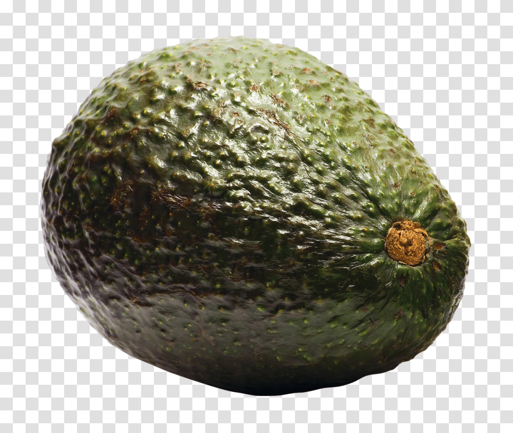 Avocado, Fruit, Plant, Food, Rug Transparent Png