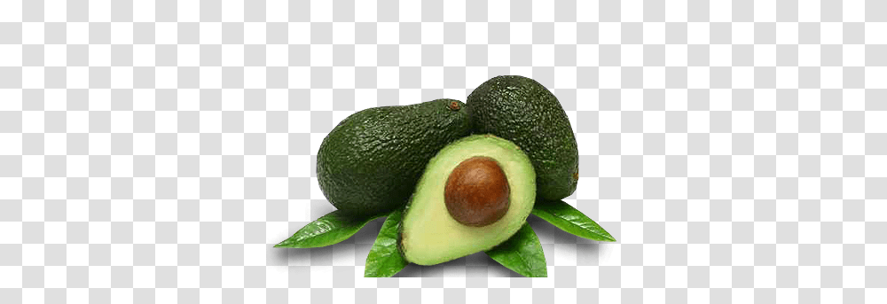 Avocado, Fruit, Plant, Food, Tennis Ball Transparent Png