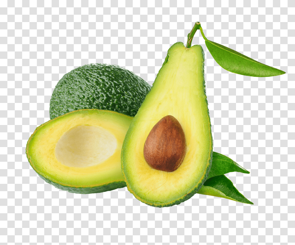 Avocado, Fruit, Plant, Food Transparent Png