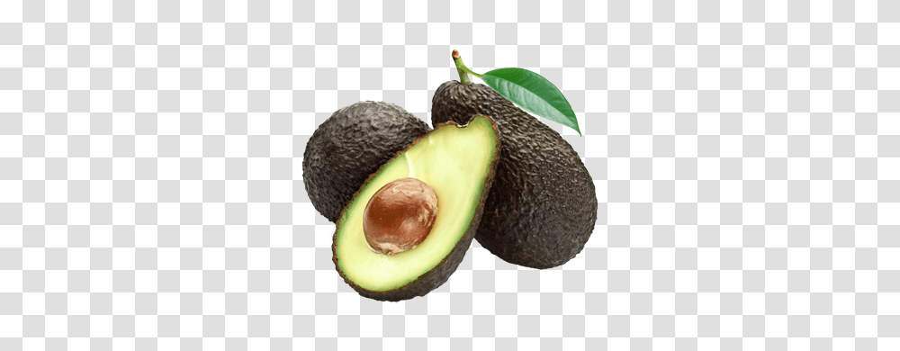 Avocado, Fruit, Plant, Food Transparent Png